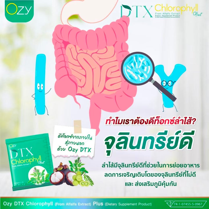 DTX Chlorophyll by Ning Panita Detox Dietary Supplement / 3 BOXES