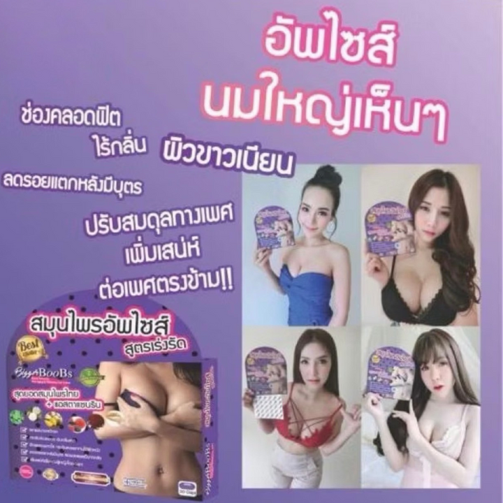 สมุนไพรอัพไซส์ Bigger BooBs