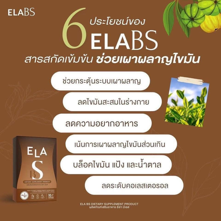 ELA DS & ELA BS